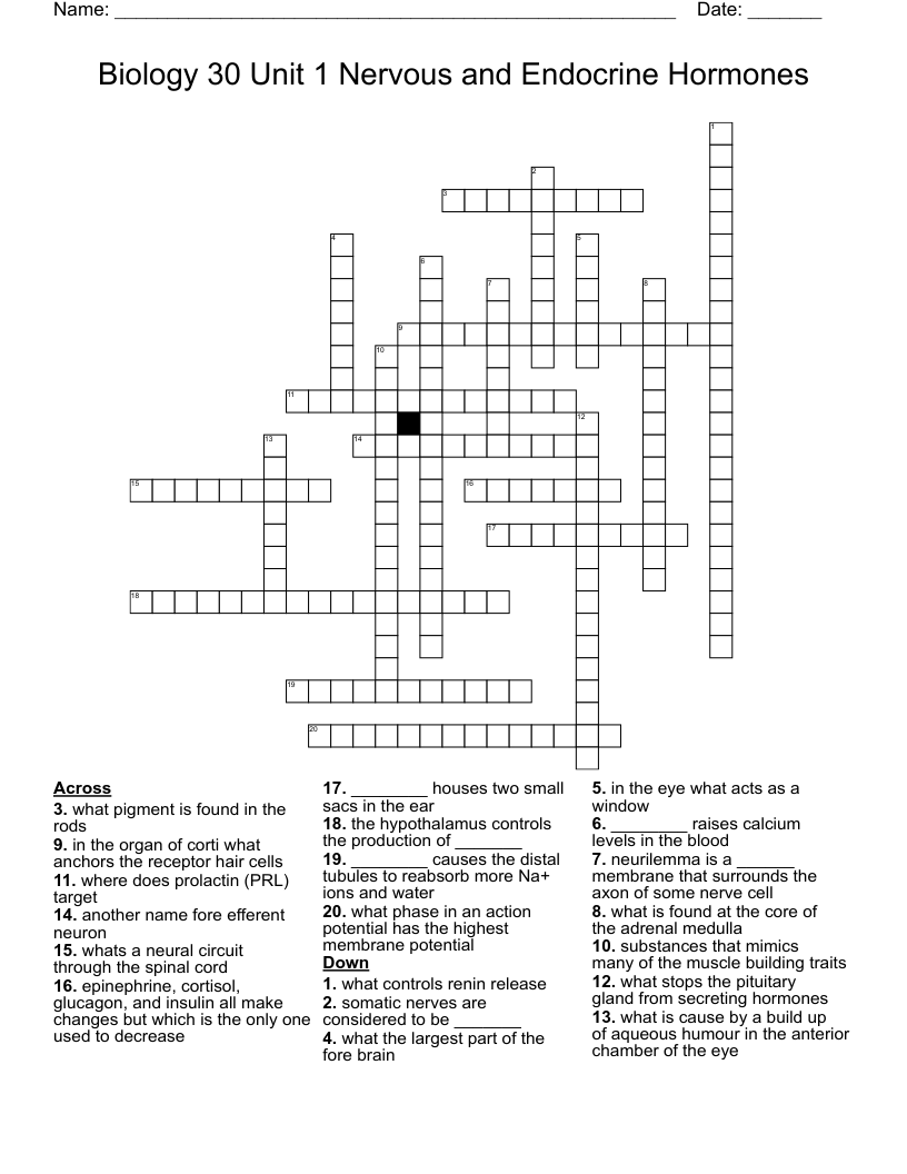Biology 30 Unit 1 Nervous and Endocrine Hormones  Crossword