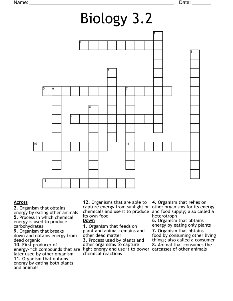 Biology 3.2 Crossword