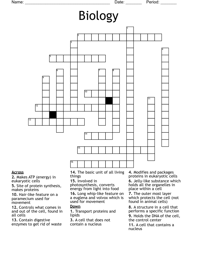 Biology Crossword
