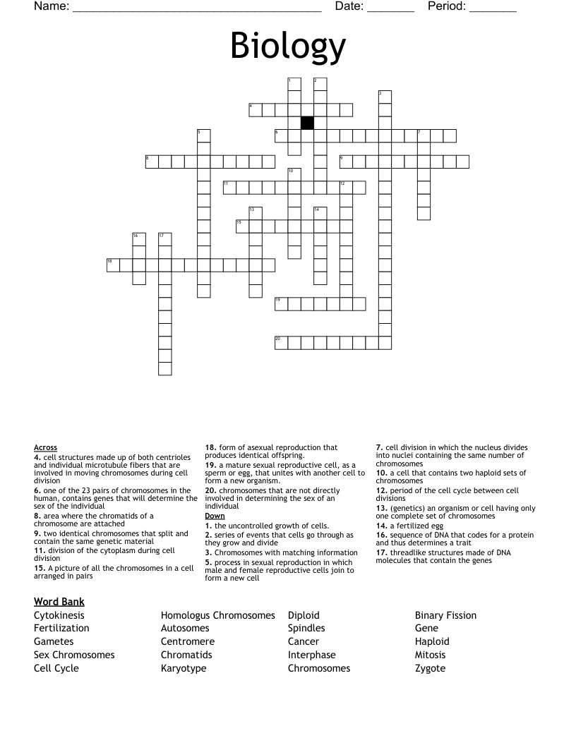 Biology Crossword