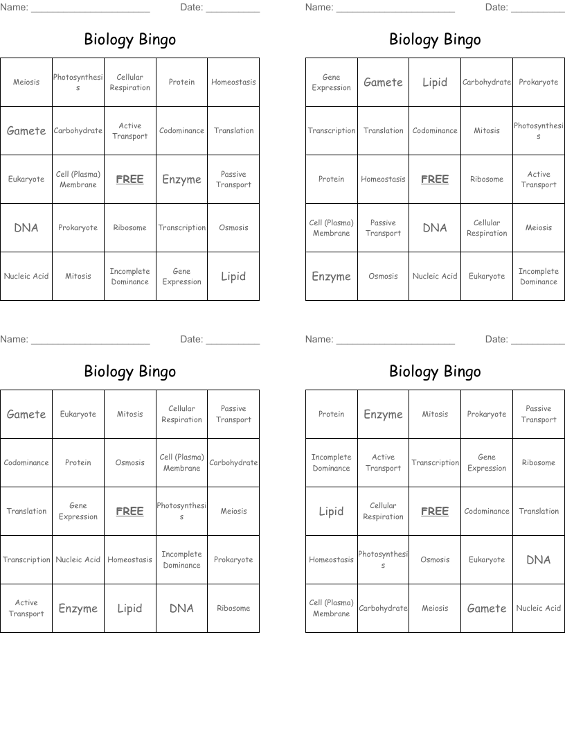 Biology Bingo