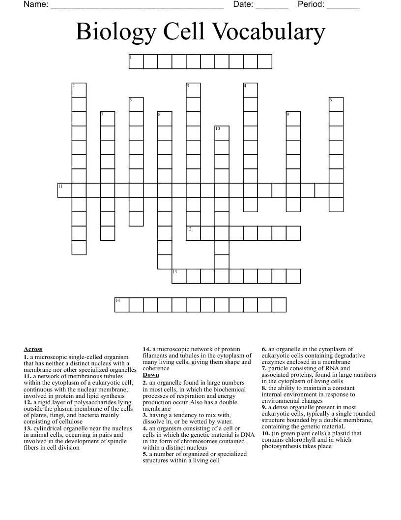 Biology Cell Vocabulary Crossword