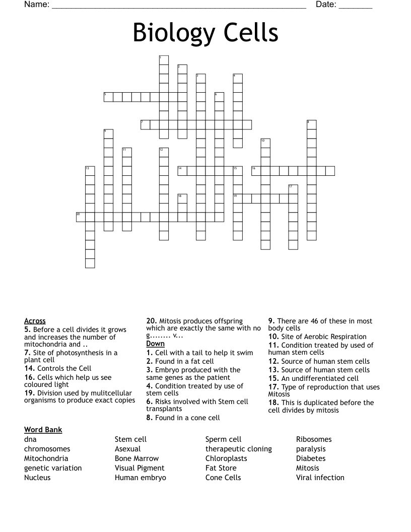 Biology Cells Crossword