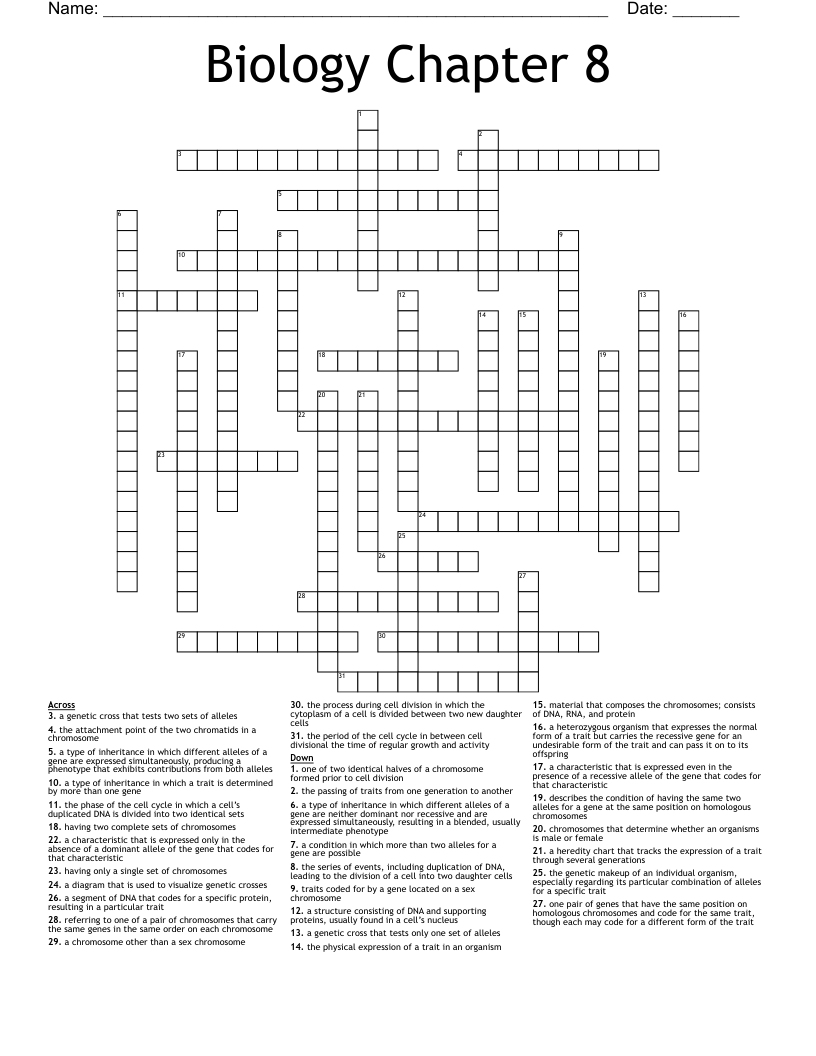 Biology Chapter 8 Crossword