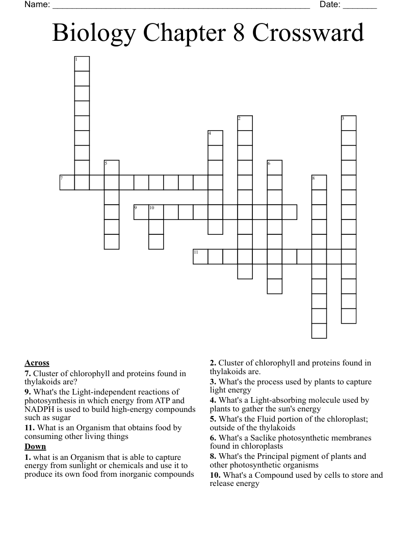 Biology Chapter 8 Crossward  Crossword