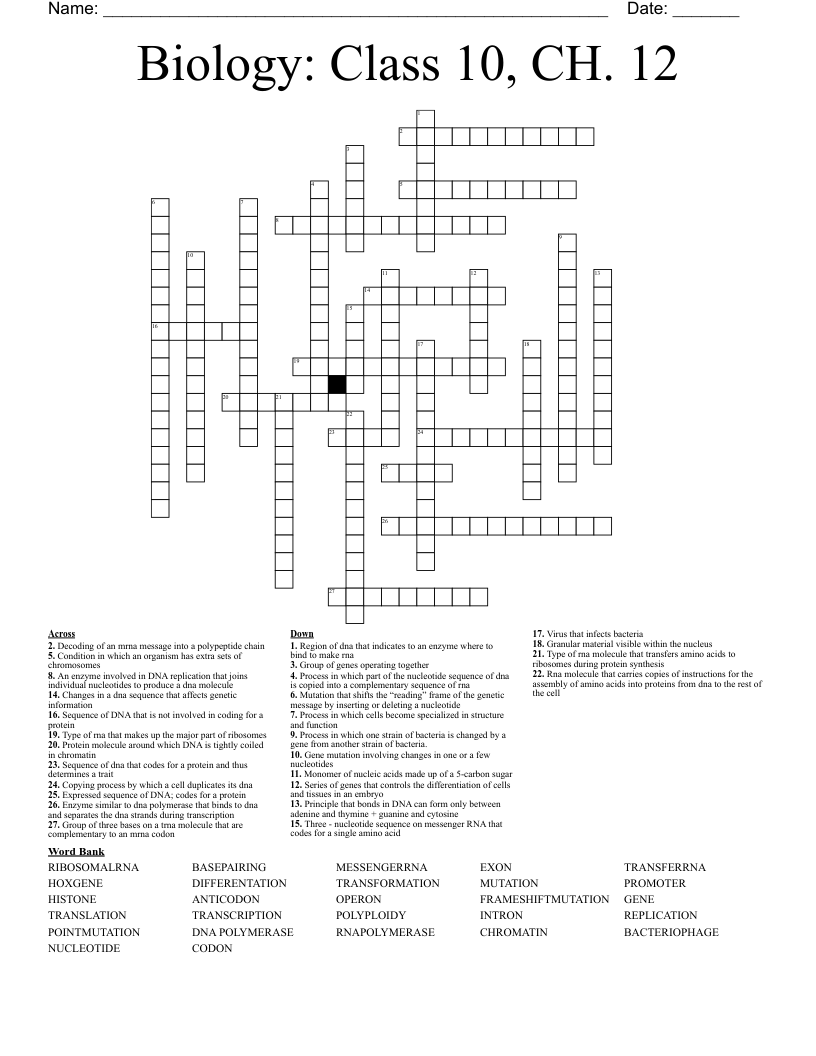 Biology: Class 10, CH. 12 Crossword