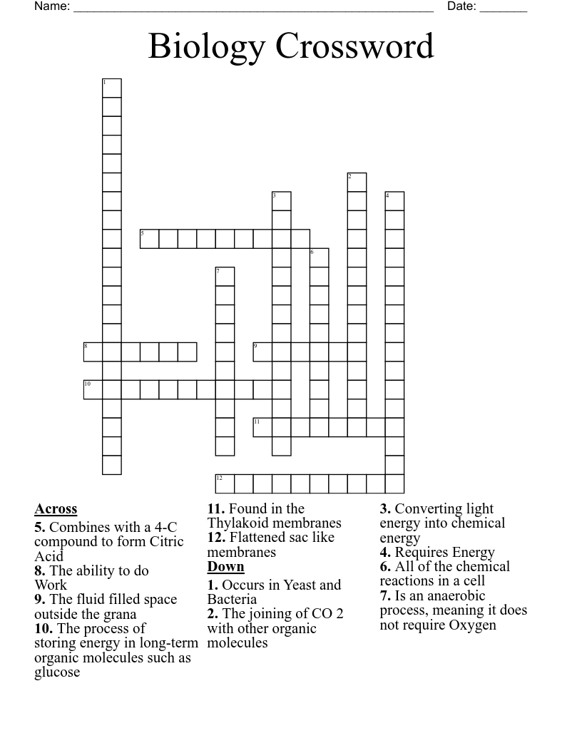 Biology Crossword