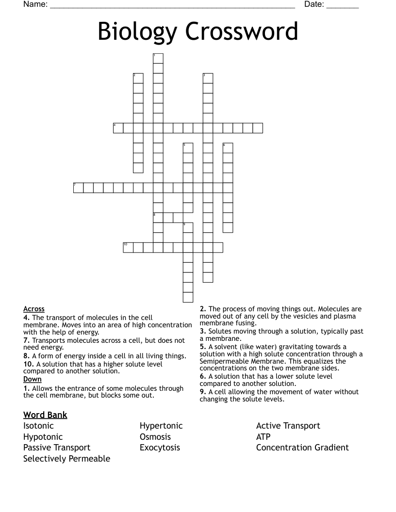 Biology Crossword