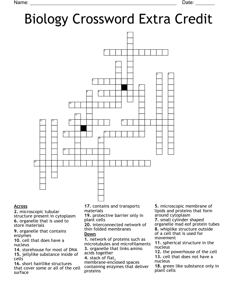 Biology Crossword Extra Credit