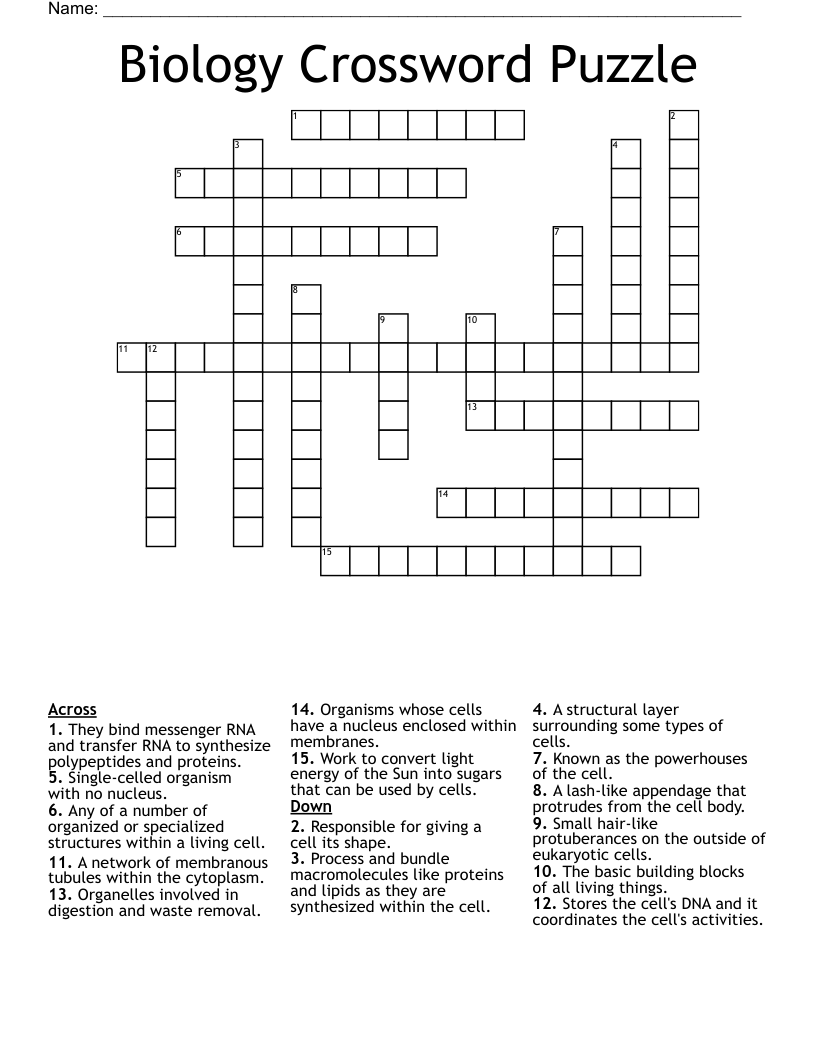 Biology Crossword Puzzle