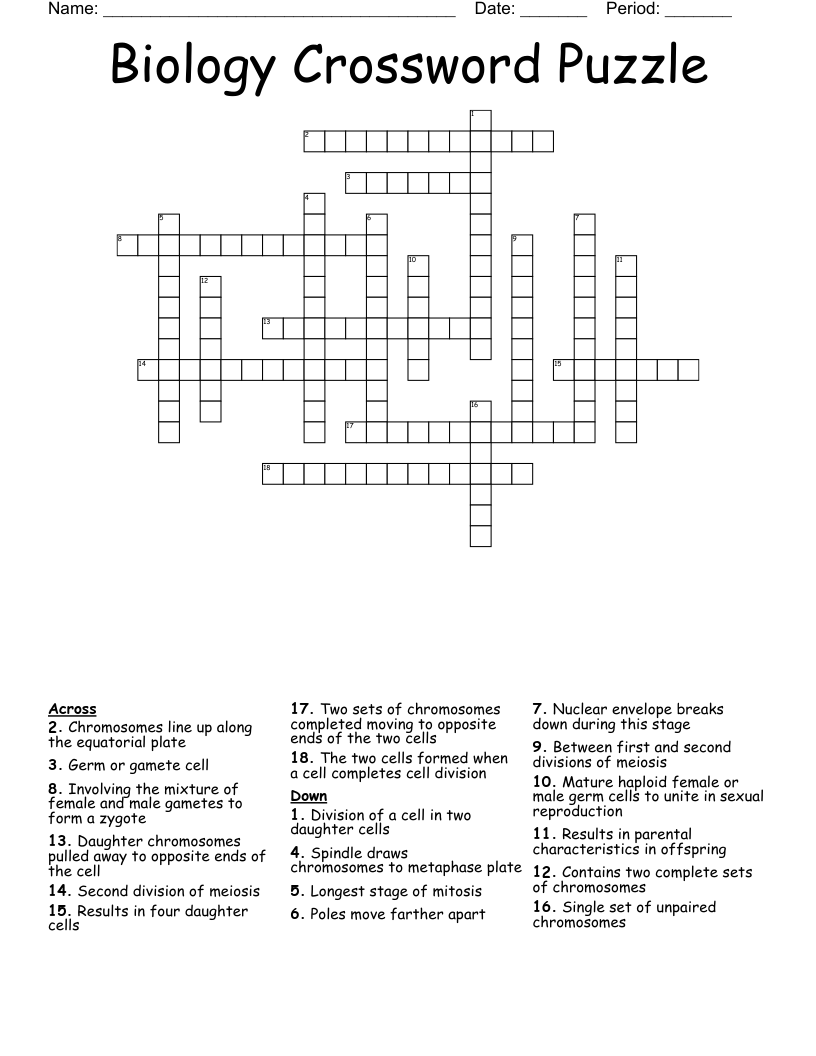 Biology Crossword Puzzle