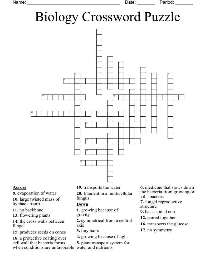 Biology Crossword Puzzle