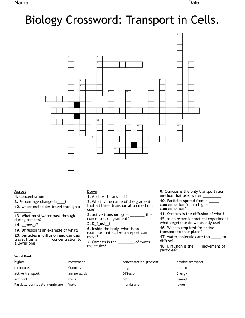 Biology Crossword: Transport in Cells.