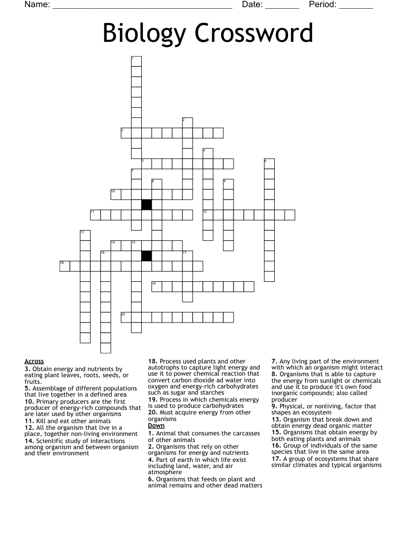 Biology Crossword 