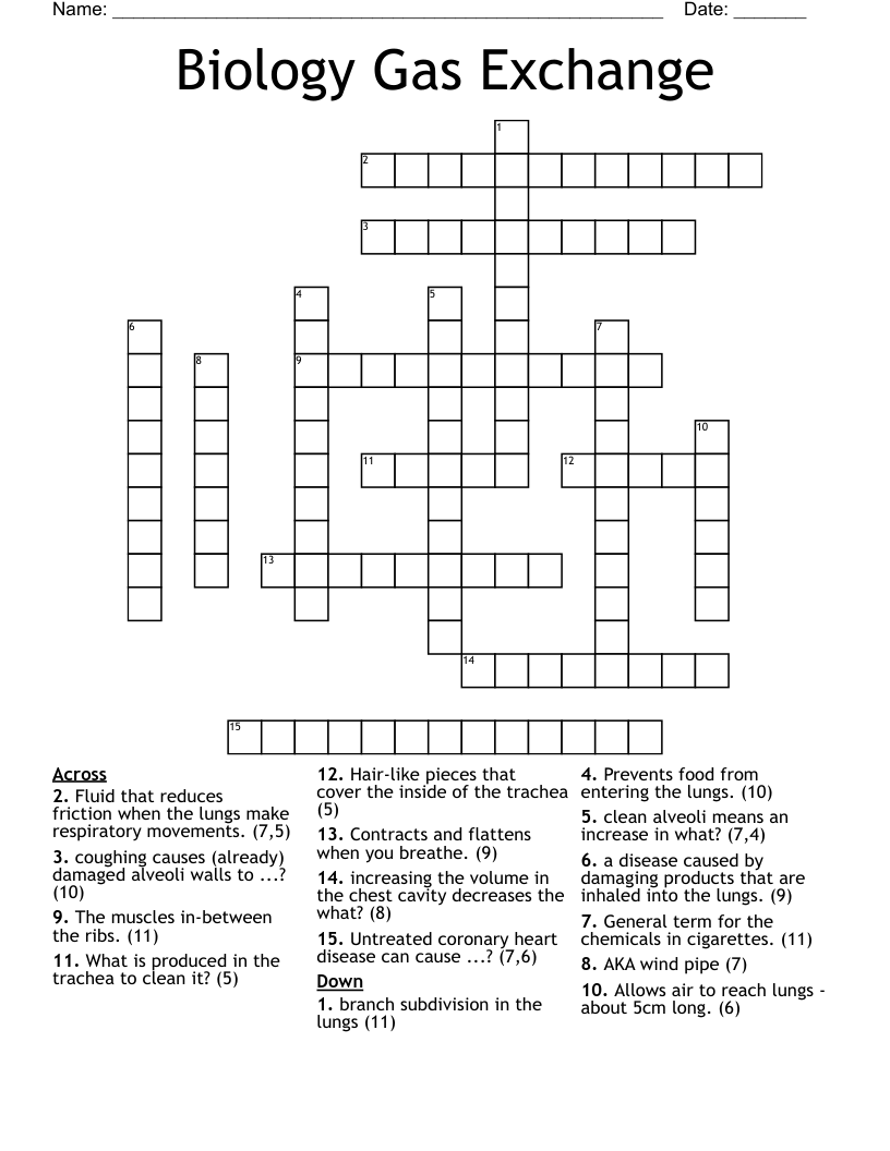 Biology Gas Exchange Crossword