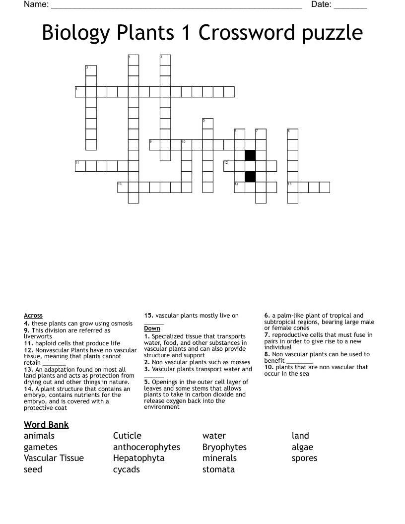 Biology Plants 1 Crossword puzzle