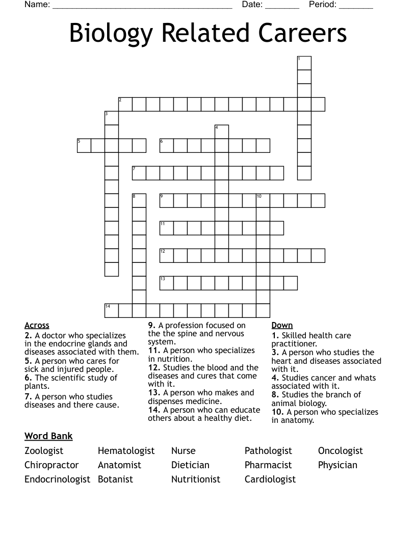 Biology Related Careers Crossword