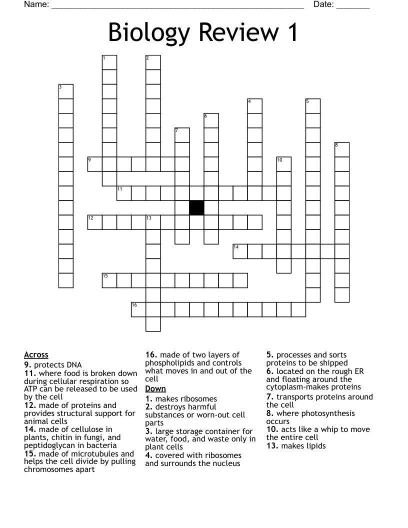 Biology Review 1 Crossword