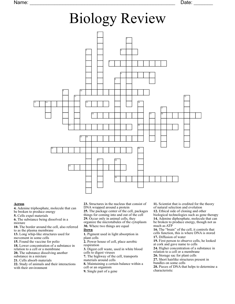 Biology Review Crossword