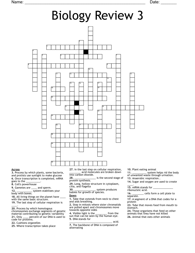Biology Review 3 Crossword