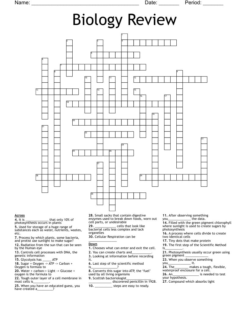Biology Review Crossword