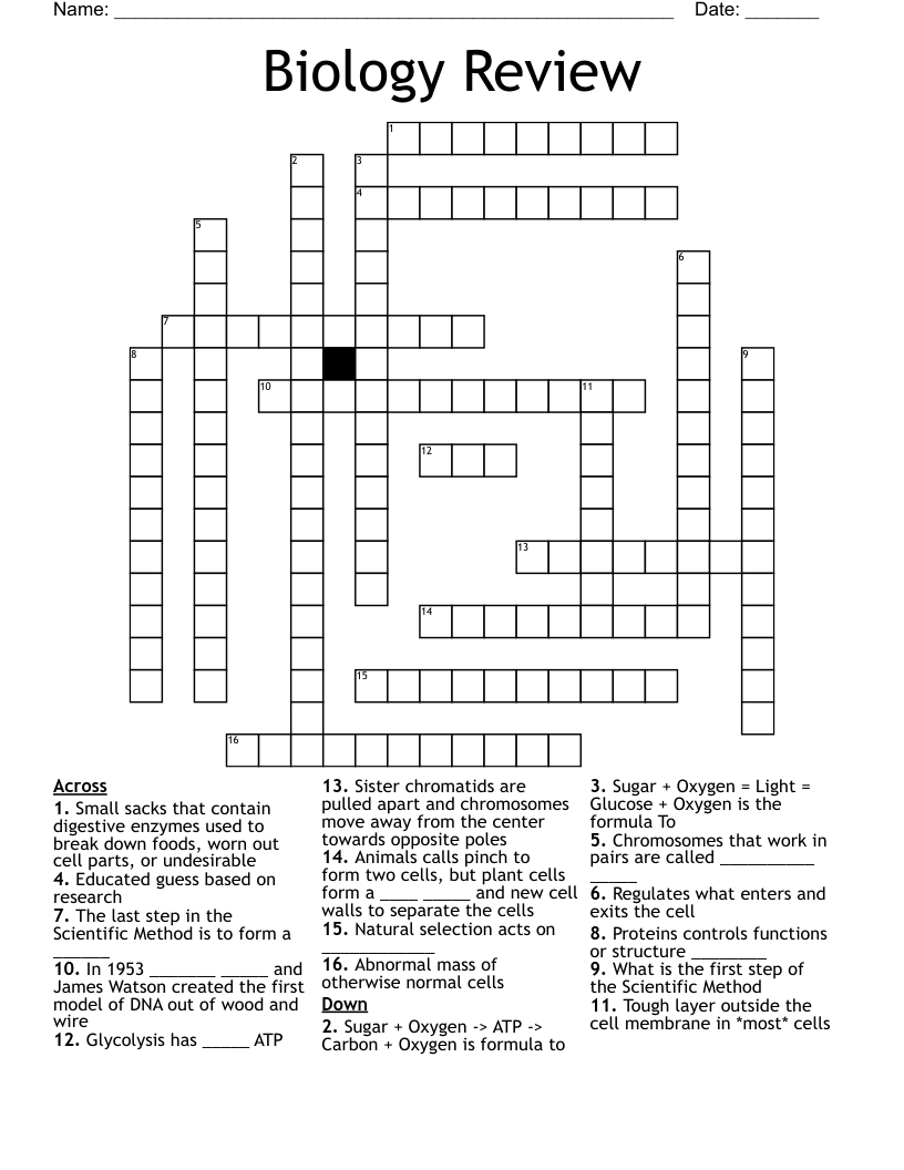 Biology Review  Crossword