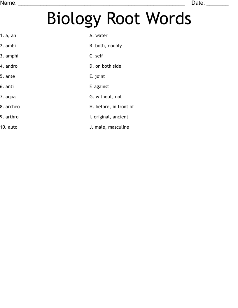 Biology Root Words Worksheet