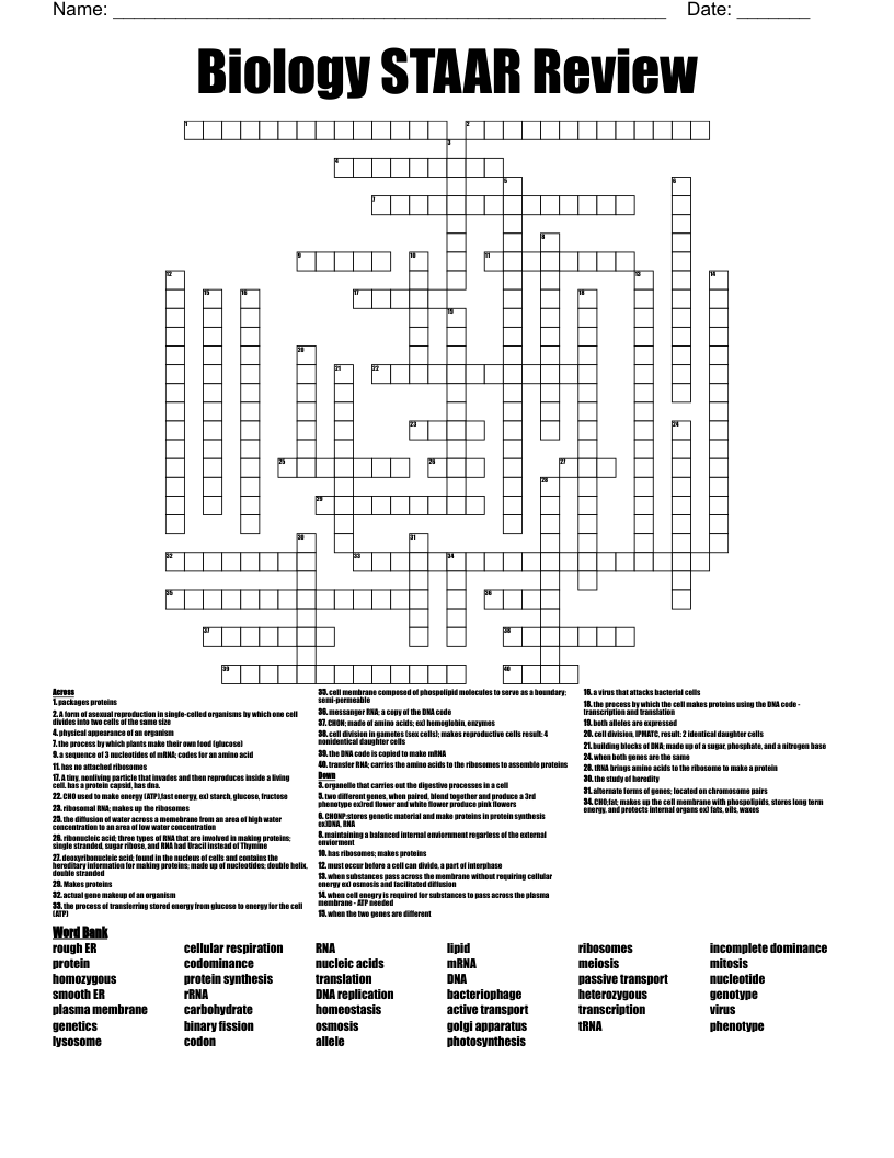 Biology STAAR Review Crossword