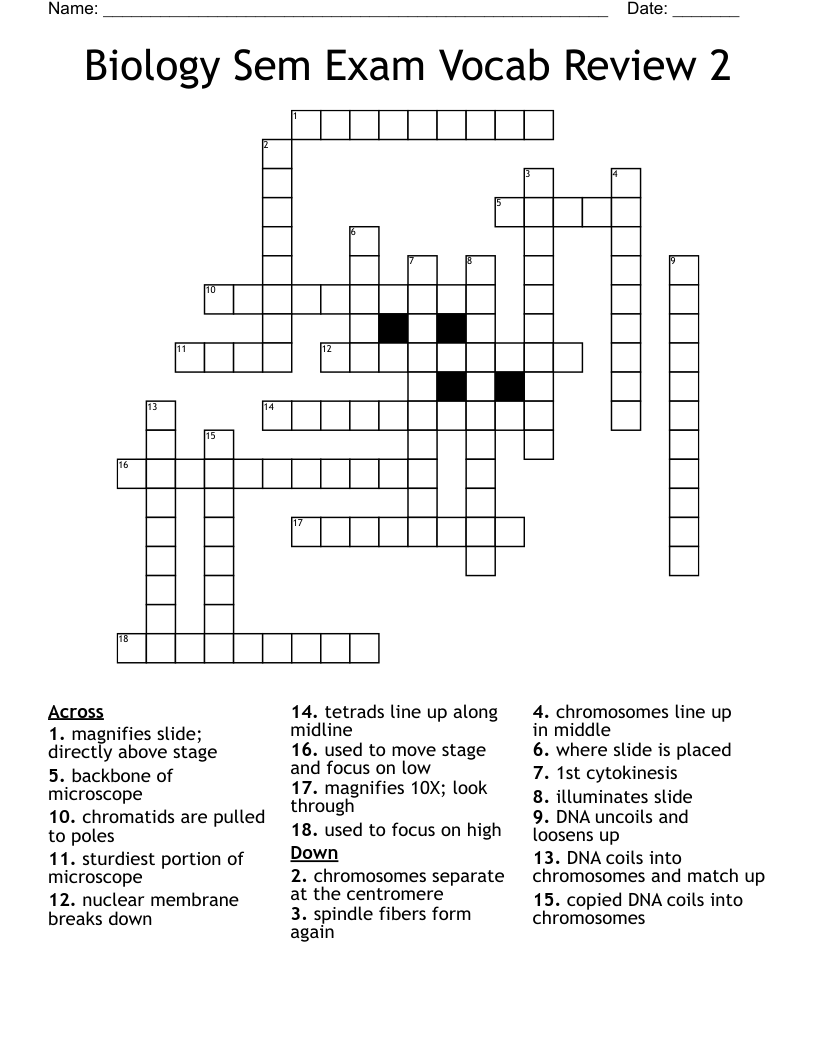 Biology Sem Exam Vocab Review 2 Crossword
