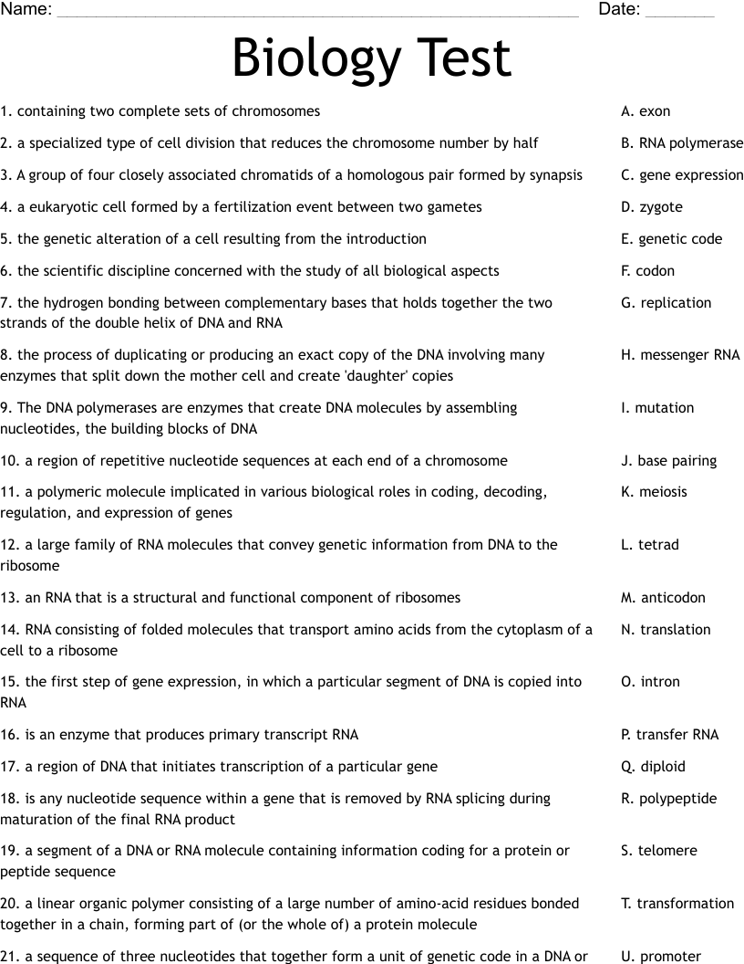 Biology Test  Worksheet