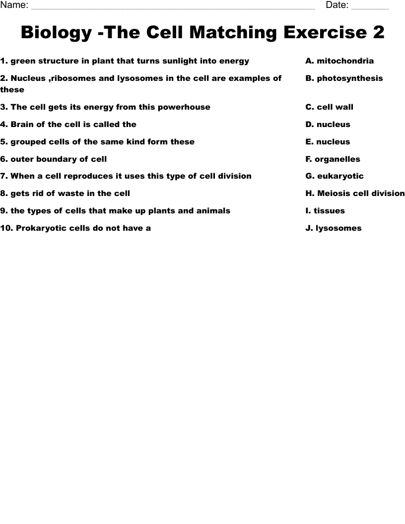 Biology -The Cell Matching Exercise 2 Worksheet
