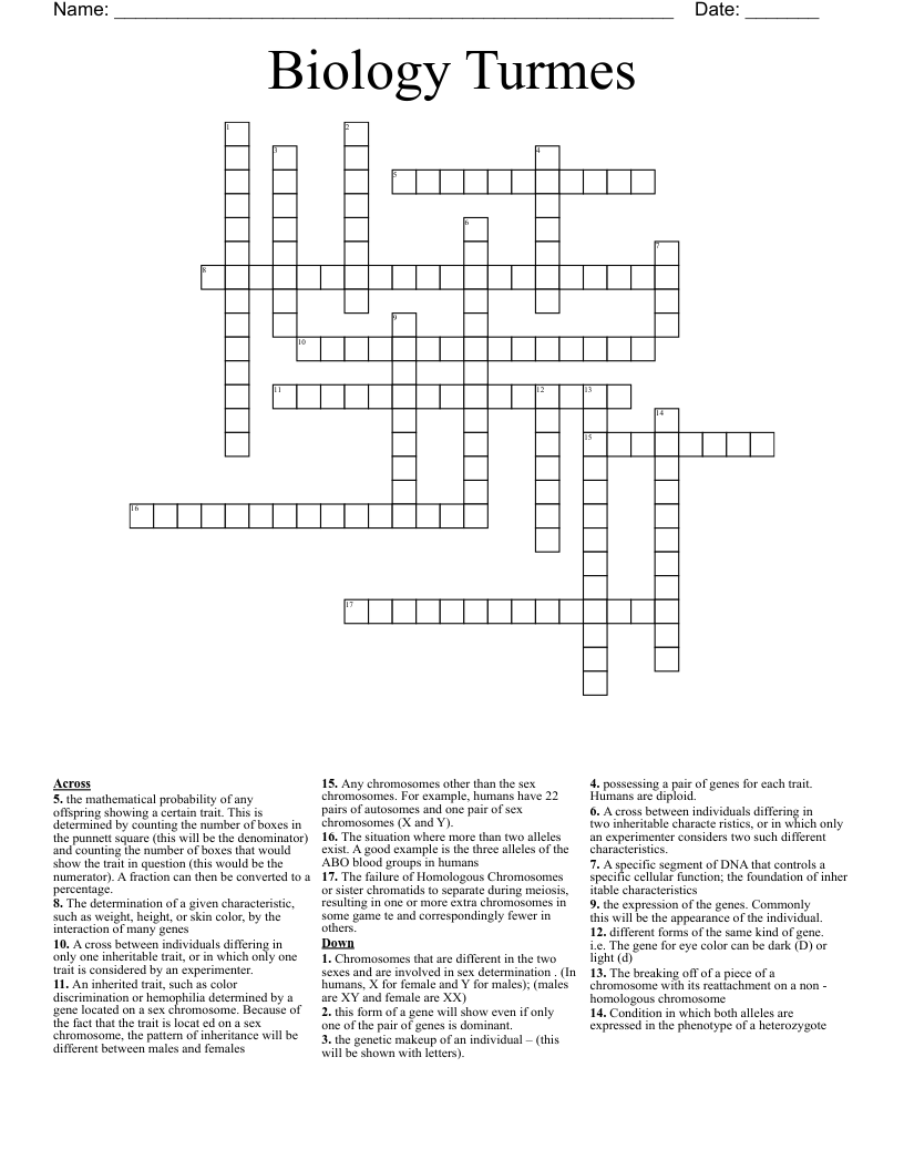 Biology Turmes  Crossword