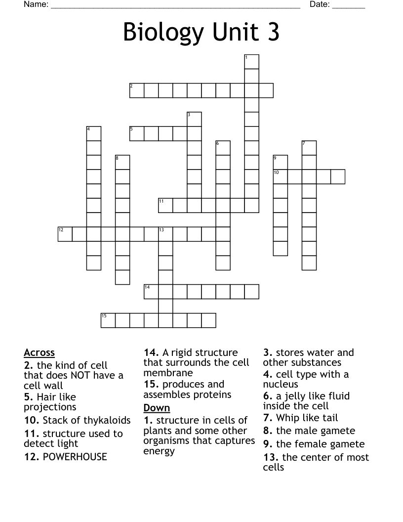 Biology Unit 3 Crossword