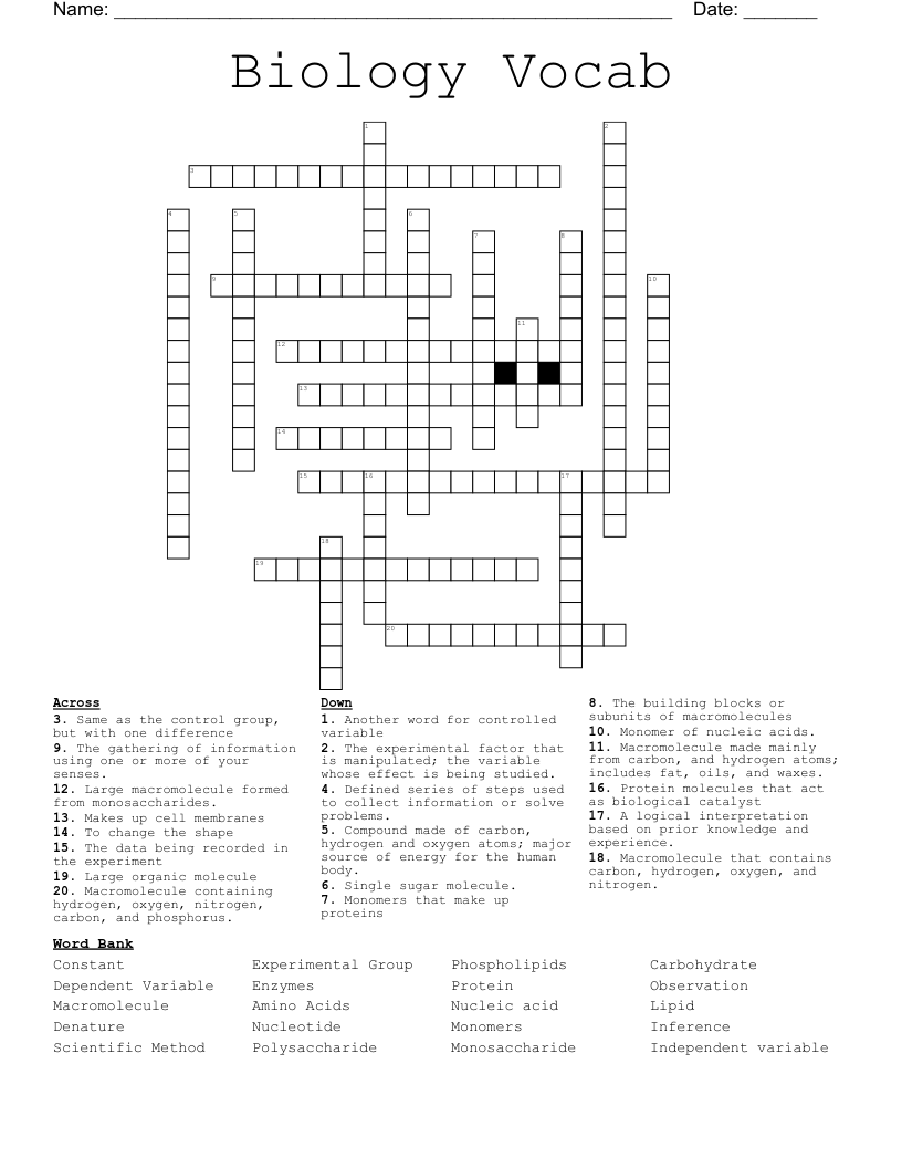 Biology Vocab Crossword