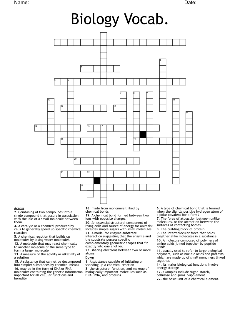 Biology Vocab. Crossword