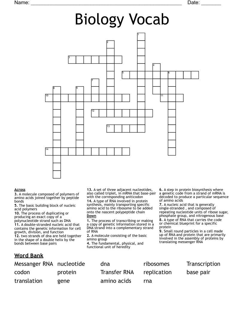 Biology Vocab  Crossword