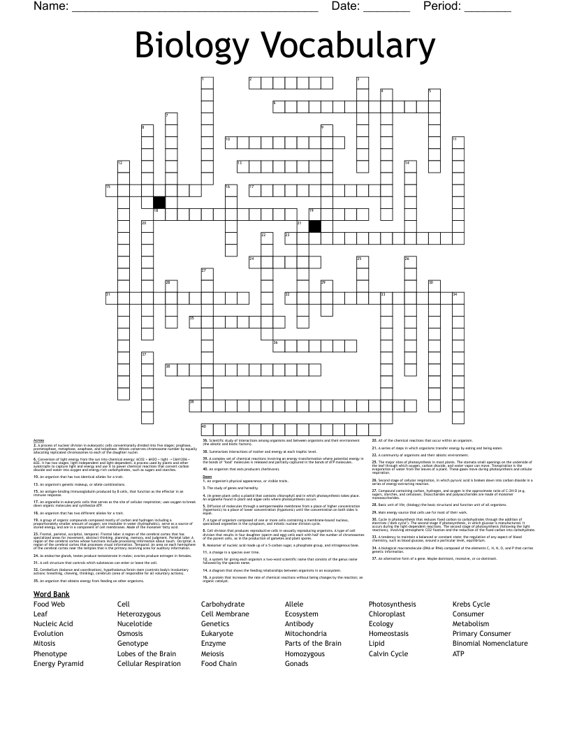 Biology Vocabulary Crossword