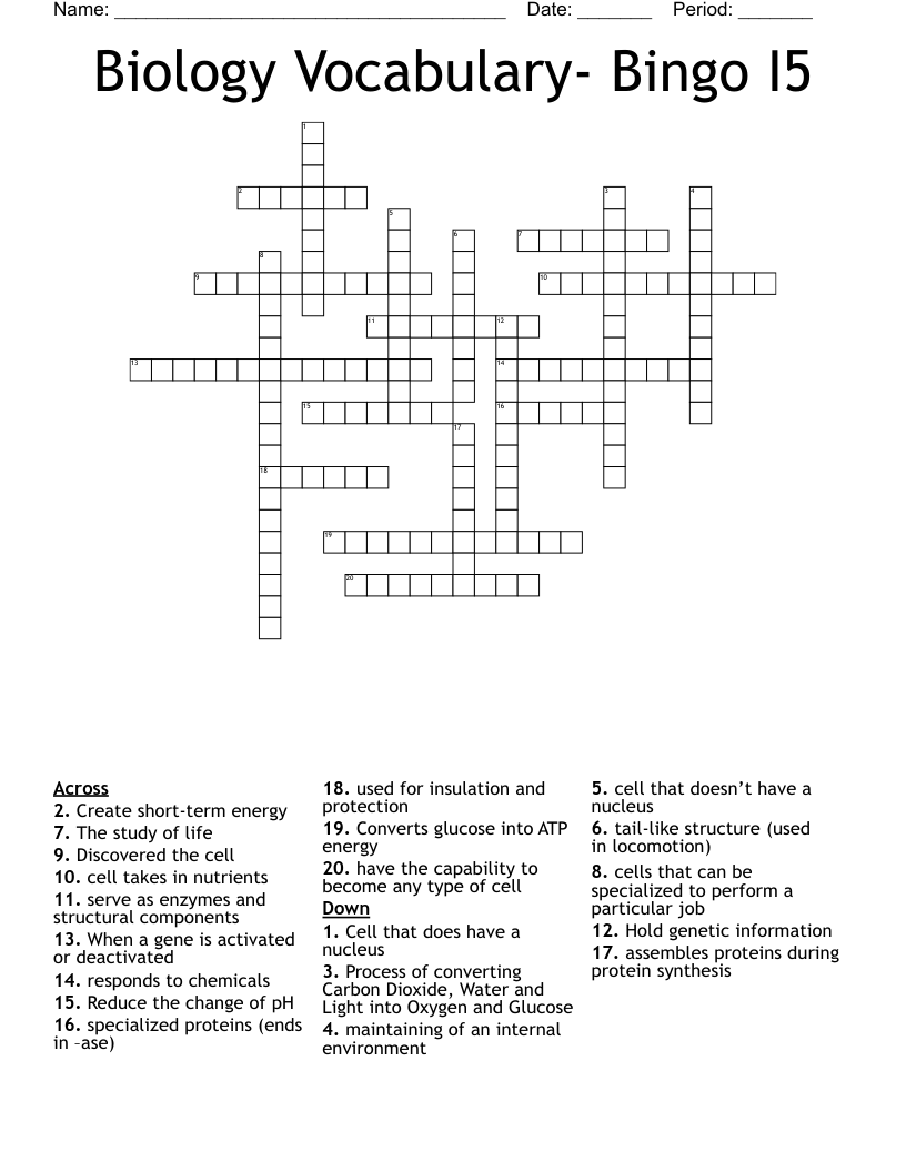 Biology Vocabulary- Bingo I5 Crossword