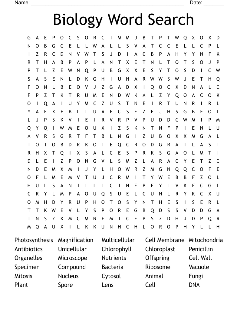 Biology Word Search