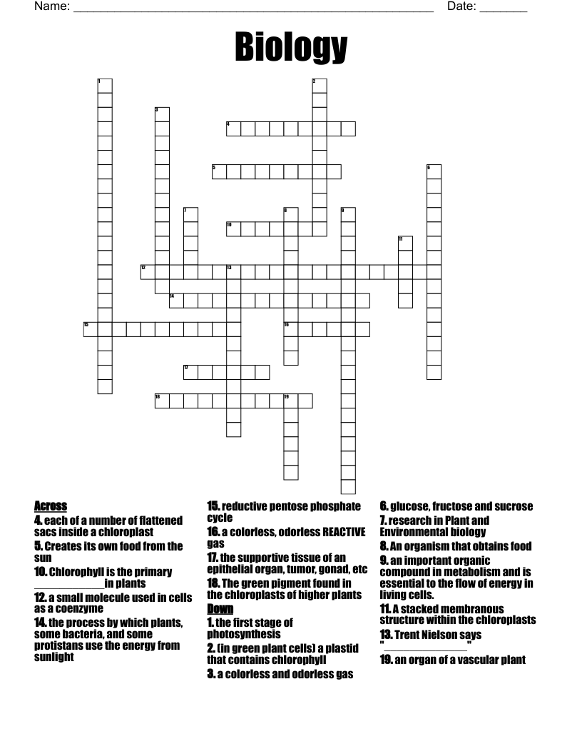 Biology  Crossword