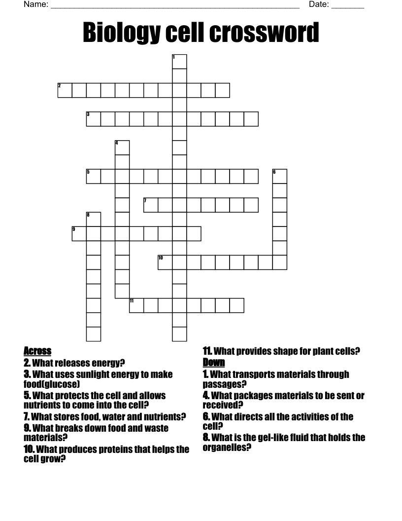 Biology cell crossword