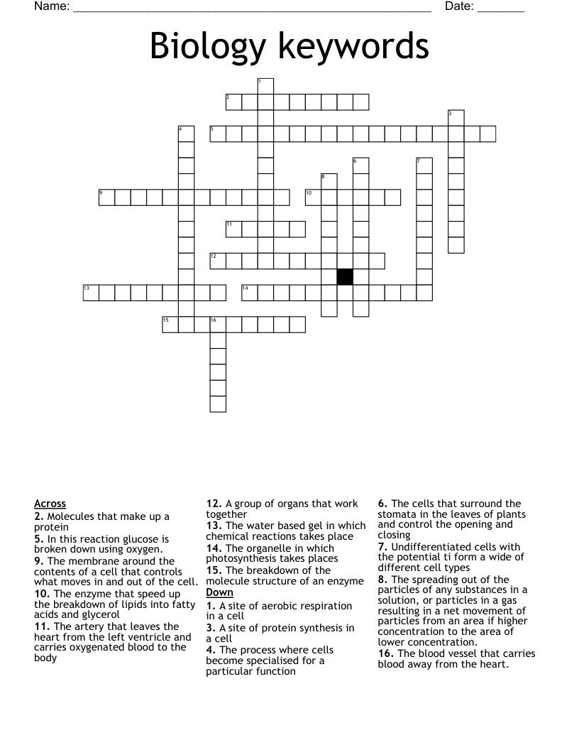 Biology keywords  Crossword