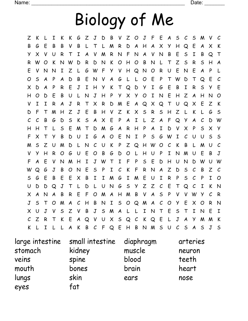 Biology of Me Word Search