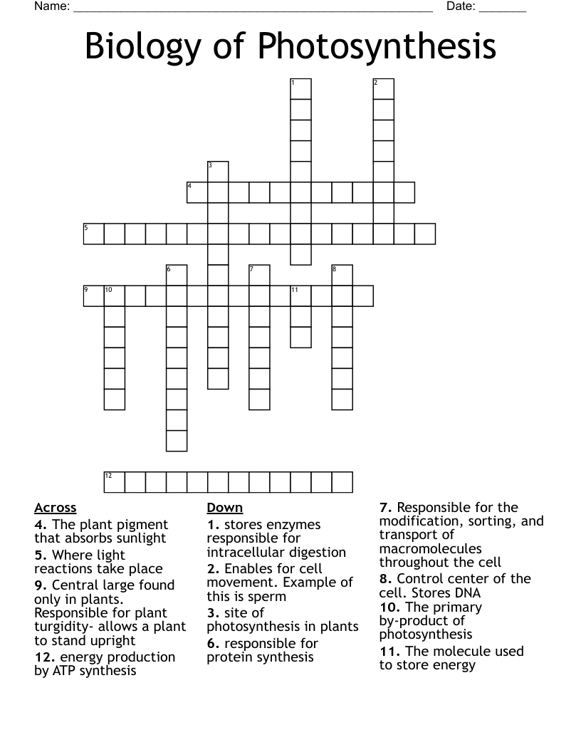 Biology of Photosynthesis  Crossword