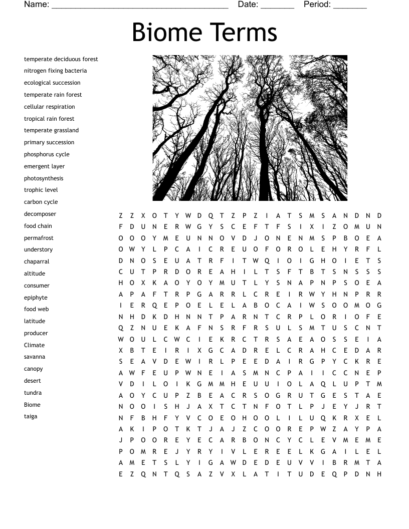 Biome Terms Word Search