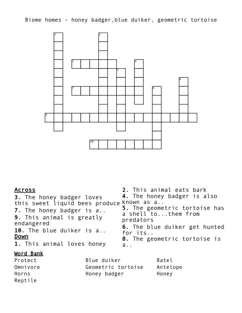 Biome homes - honey badger,blue duiker, geometric tortoise Crossword