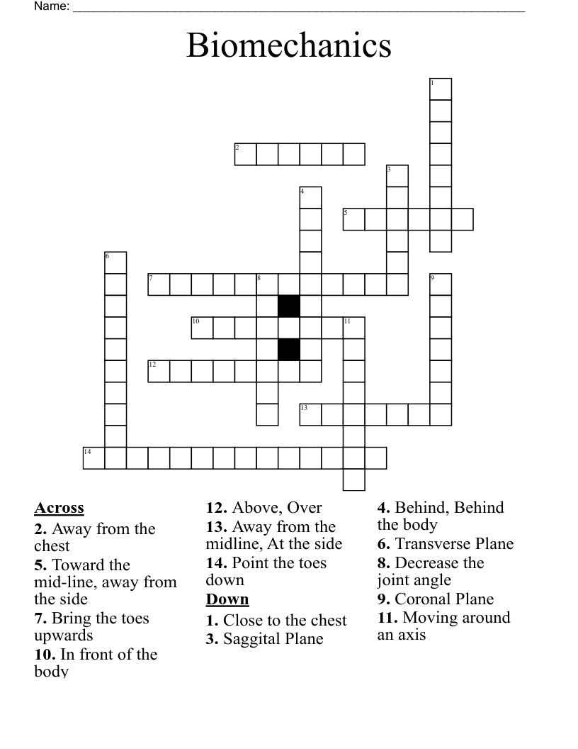 Biomechanics Crossword