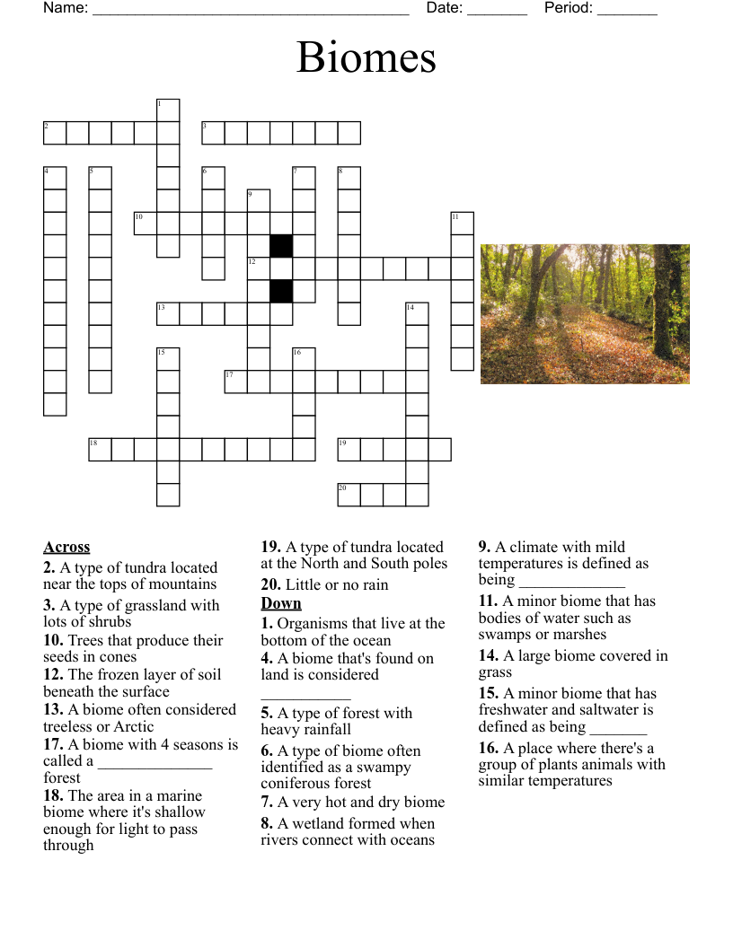 Biomes Crossword