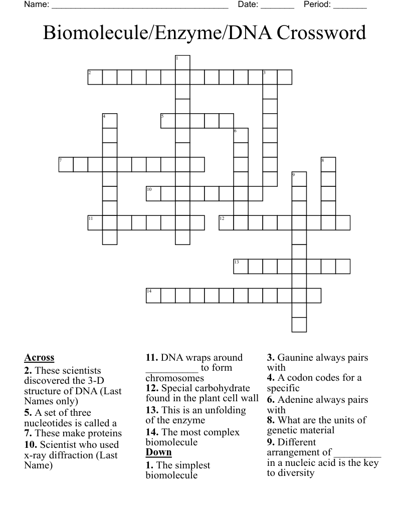 Biomolecule/Enzyme/DNA Crossword