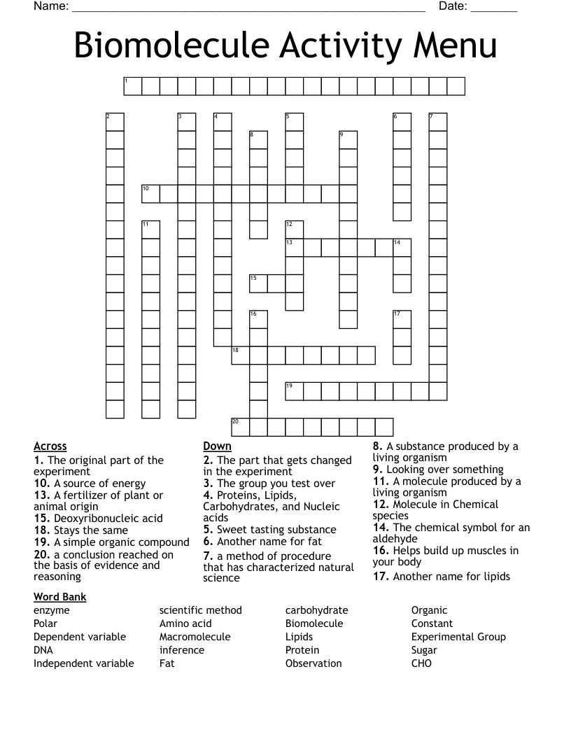 Biomolecule Activity Menu  Crossword